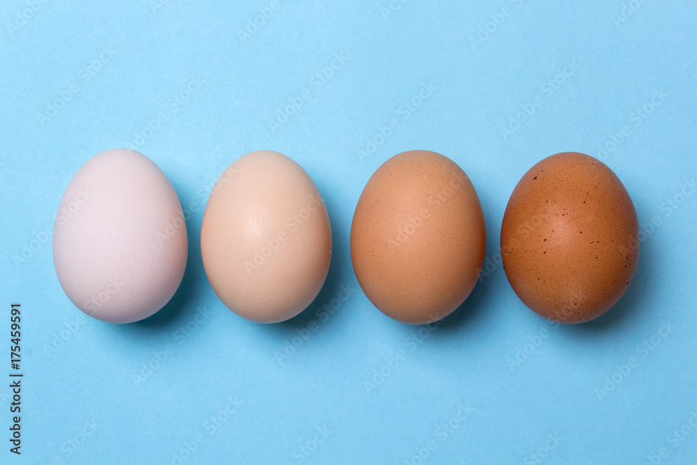Four chicken eggs of different colors. How to choose the right eggs when buying. Four chicken eggs of different colors. How to choose the right eggs when buying.