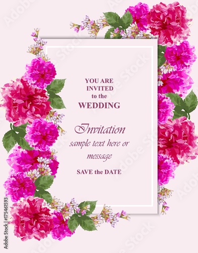 Invitation Card vector. Roses beauty flowers. Fuchsia pink colors
