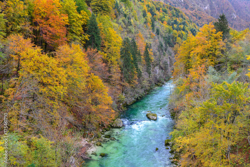 Fototapeta Naklejka Na Ścianę i Meble -  Colorful autumn forest, Savica river in Slovenia