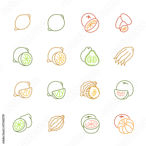 Citrus fruits icons - Lemon, orange and pomelo
