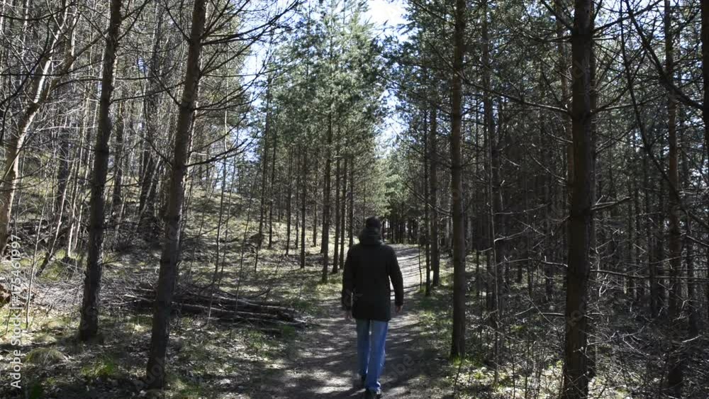 Hiking trail in forest with man walking. Nature scene with empty road in woods. Hiking trail in forest with man walking. Nature scene with empty road in woods.