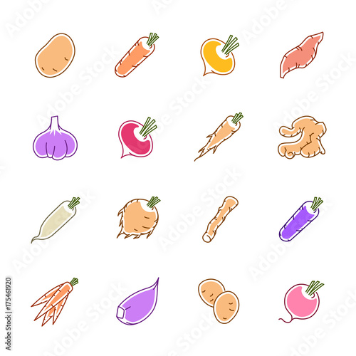Vegetables icons - Potato, carrot and garlic