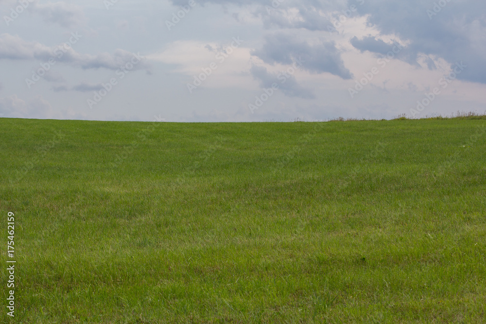 Fototapeta premium summer landscape