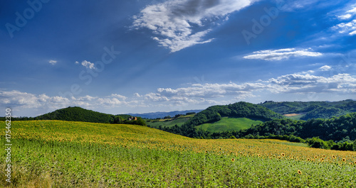 Landscape in Montefeltro near Urbania (Marches, Italy)