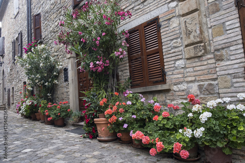 Fototapeta Naklejka Na Ścianę i Meble -  Frontino, old village in Montefeltro (Marches, Italy)