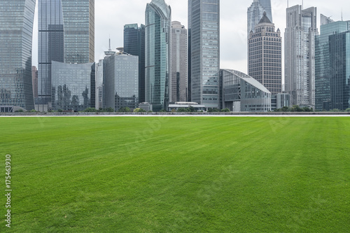 cityscape and skyline of shanghai from meadow in park