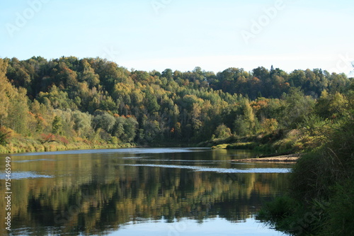 fall, trees at river shore