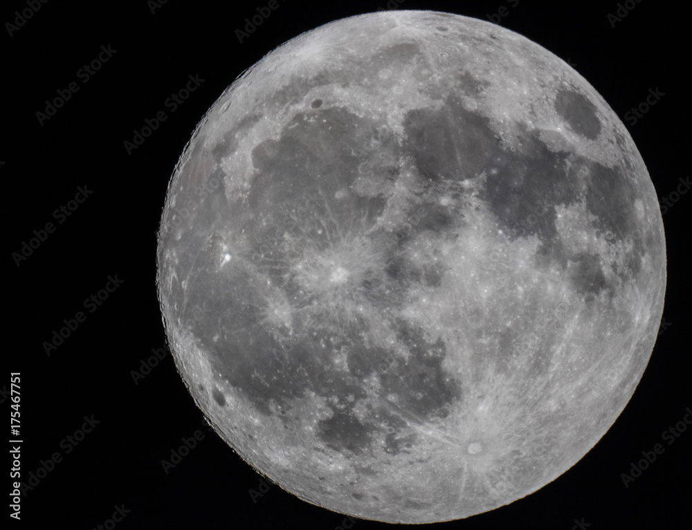 Obraz premium Harvest Moon over Brunswick Plantation w Północnej Karolinie