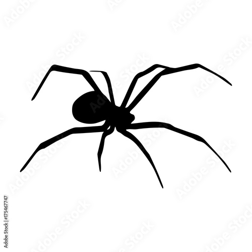 Spider Silhouette Icon Symbol Design. Vector illustration of spider isolated on white background. Halloween graphic. © Hadley