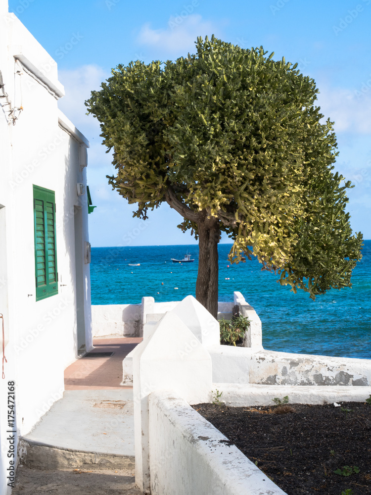 Fototapeta premium Arrieta. Lanzarote