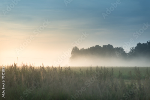 Autumn morning foggy sunrise at meadow
