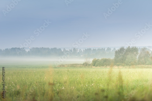 Mist in the green field near the forest in sunny summer morning