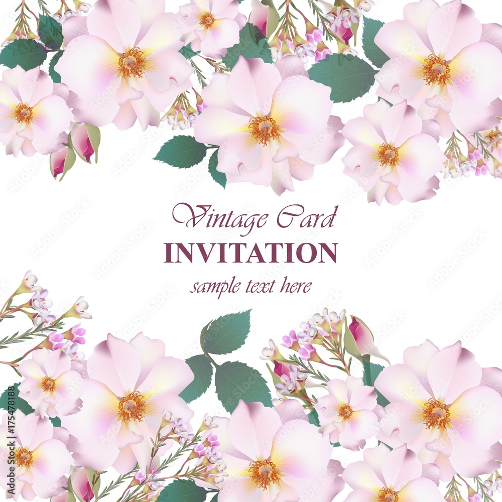 Naklejka premium Wedding Invitation Card vector. Delicate rose and lavender flowers. Primrose pink colors