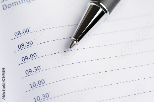 Obraz na plátně Daily planner with a metal ballpoint pen