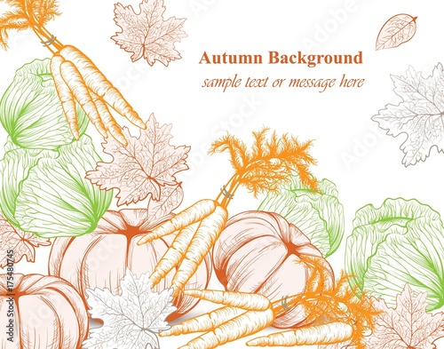 Pumpkin pattern background. Vector Line art hand drawn graphic style illustra...