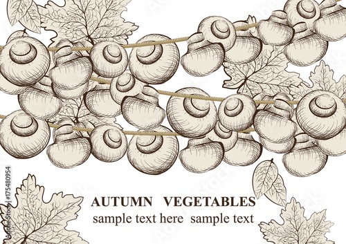 Vegetables on wood background. Vector background. Line art hand drawn graphic...