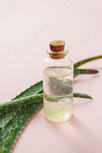 aloe vera and cosmetic ingredients on pink background