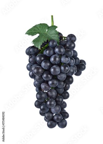 purple grapes Isolated on white background