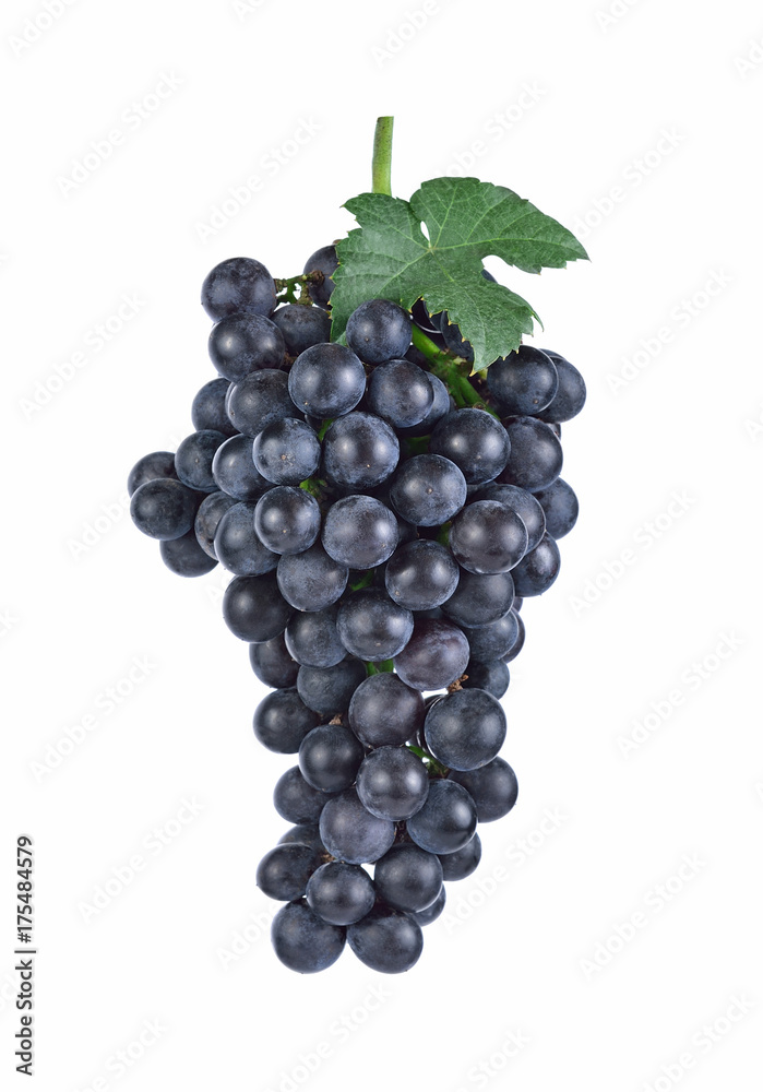 purple grapes Isolated on white background purple grapes Isolated on white background