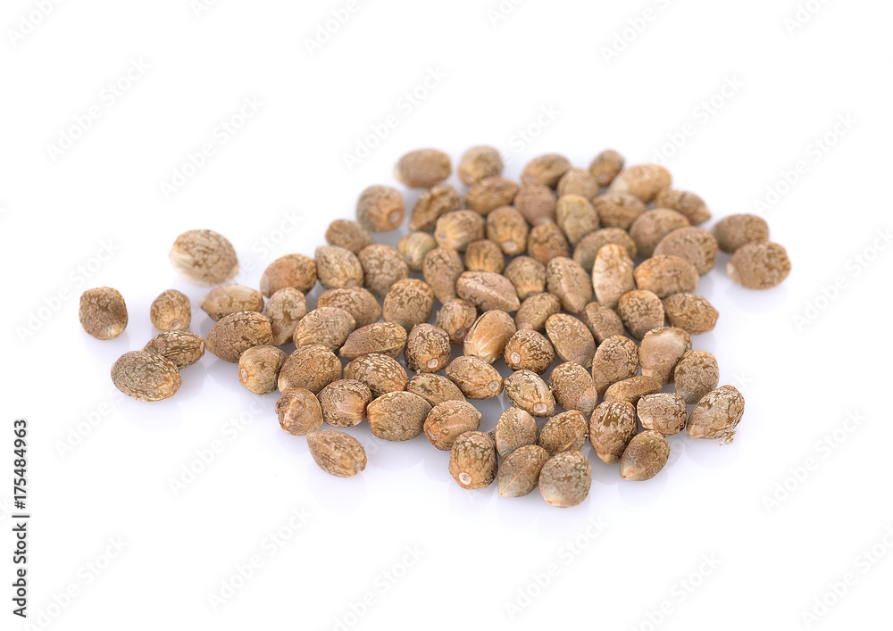 Hemp seeds isolated on white background