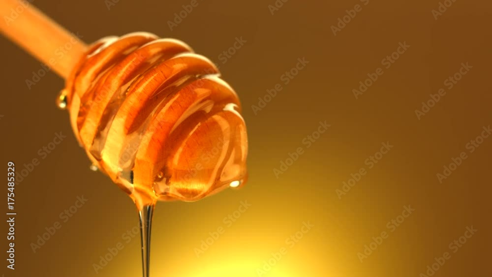 Honey dripping from honey dipper isolated on yellow background. 4K UHD video footage. Ultra high definition 3840X2160 Honey dripping from honey dipper isolated on yellow background. 4K UHD video footage. Ultra high definition 3840X2160