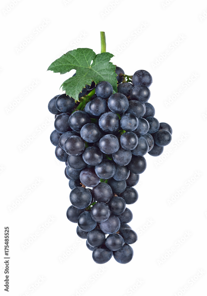 purple grapes Isolated on white background purple grapes Isolated on white background