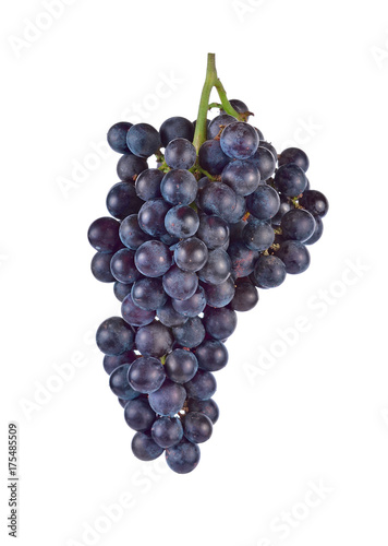 purple grapes Isolated on white background