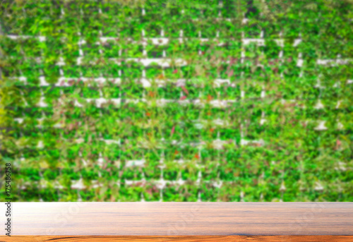 wooden with plant background