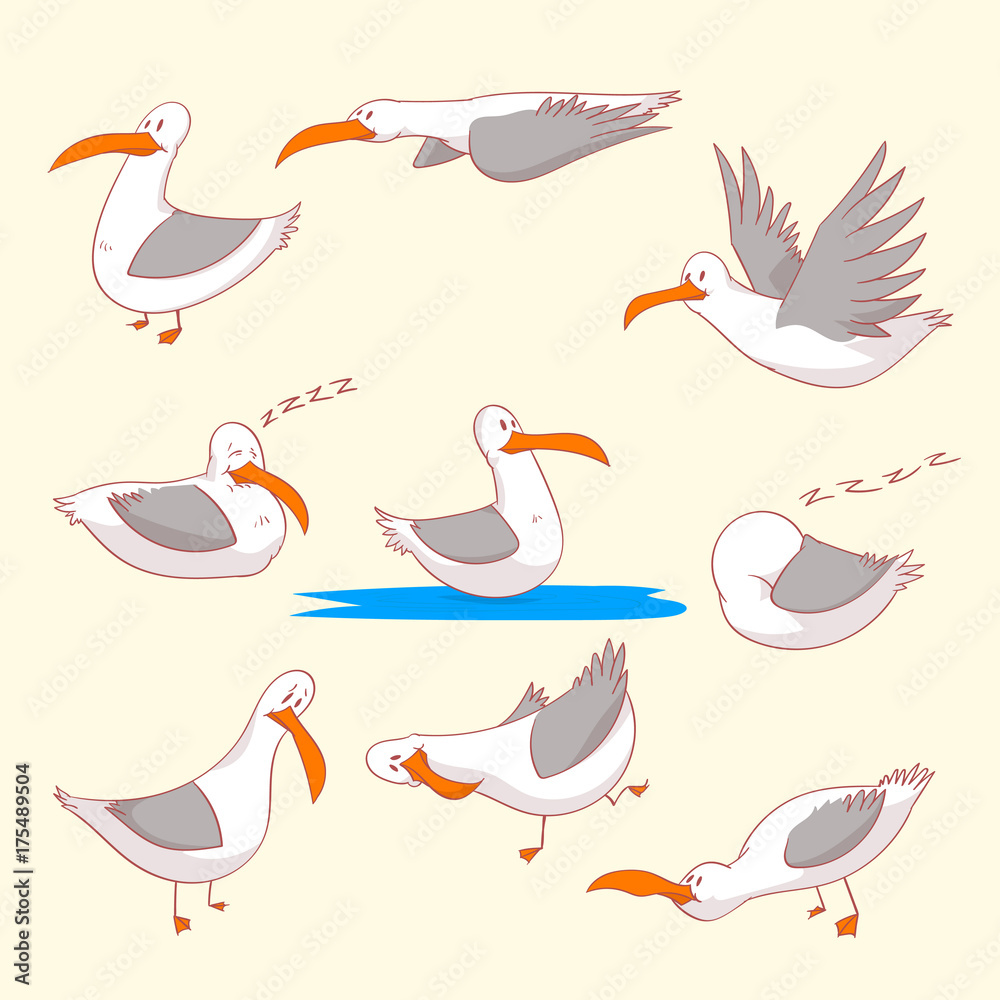 Naklejka premium Collection of colorful vector illustrations of cartoon marine burds or seagulls in different positions