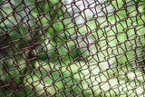 Mesh netting on a background of green grass, fence, texture, background, building material