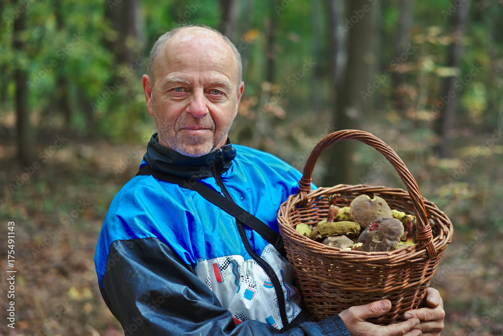 Man in forest with basket of mushrooms in hands, autum, nature Man in forest with basket of mushrooms in hands, autum, nature