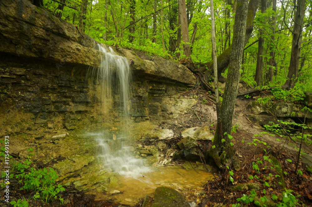 Forest Waterfall Forest Waterfall