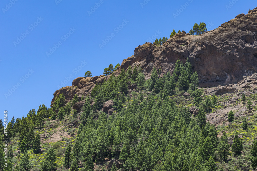 Breathtaking landscape with the most beautifull mountain peaks on grand canary, canary islands, spain.