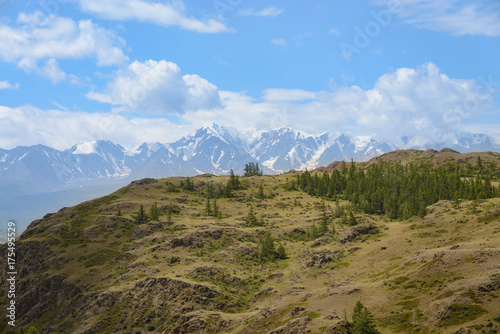 Beautiful view of altay meadows at the foot of mountains. Beauty world