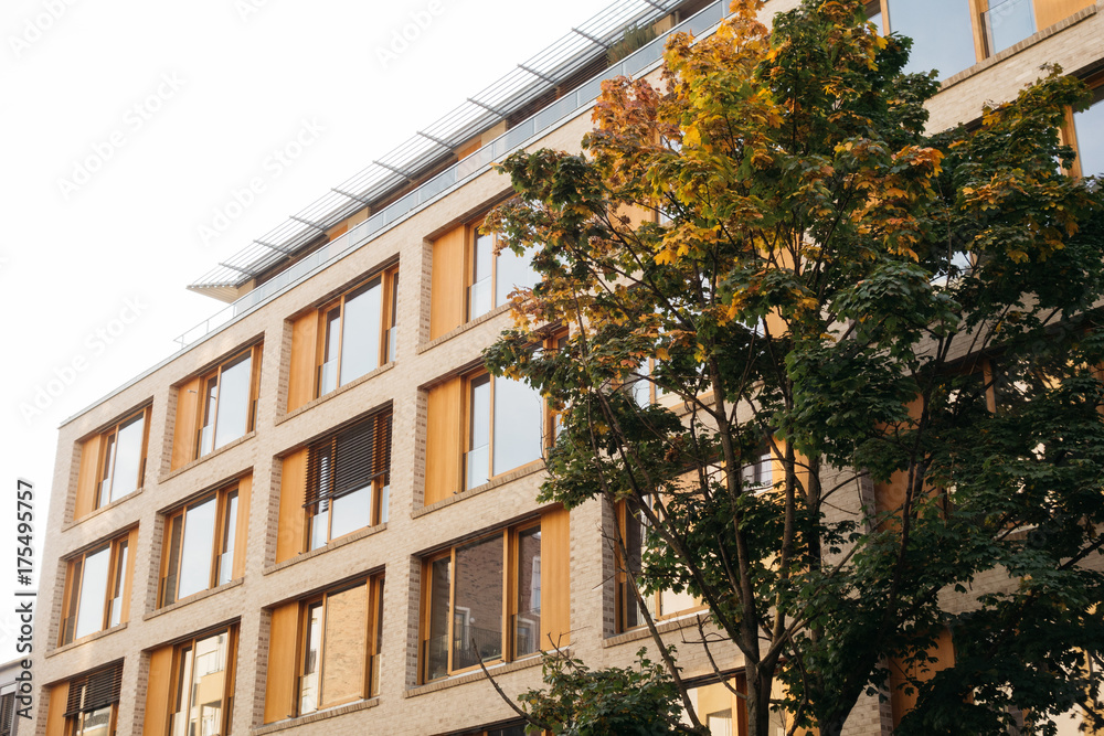 office building with modern facade and autumn tree