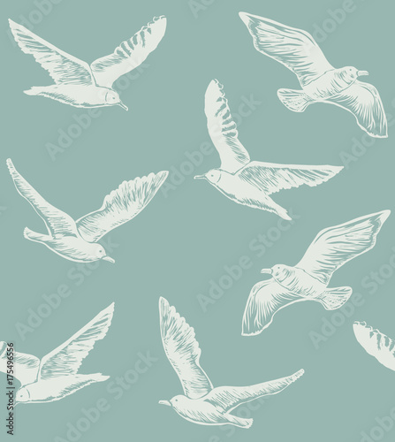 Seamless Pattern with Seagulls. Graphic Hand Drawn Background for Banners Web pages Scrap booking Paper Wallpaper. Vector Illustration with Flying Birds