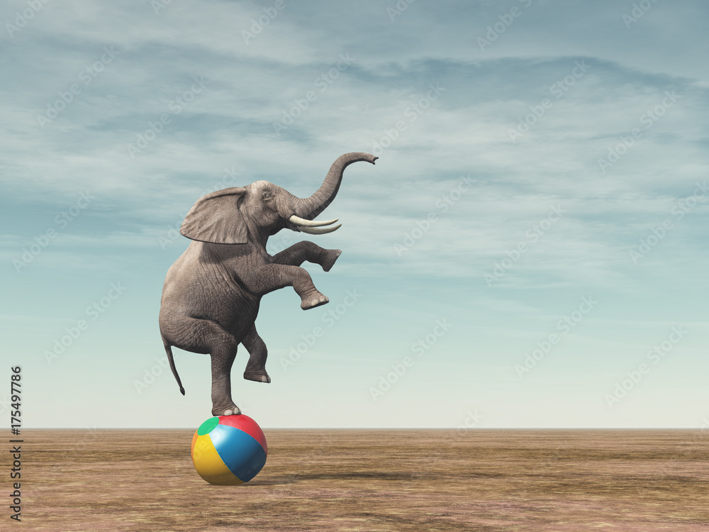 Fototapeta Surrealistyczny obraz równoważenia elefanta