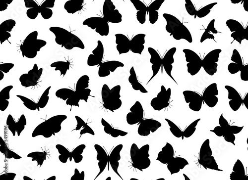 Butterfly seamless isolated on white