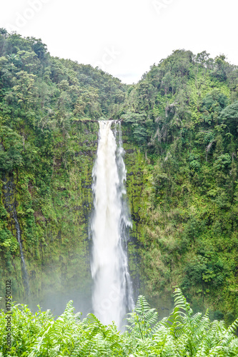 Akaka Falls 4