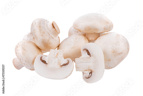 white Mushroom champignon isolated on white background