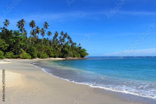 Tropical beach, Solomon Islands photo