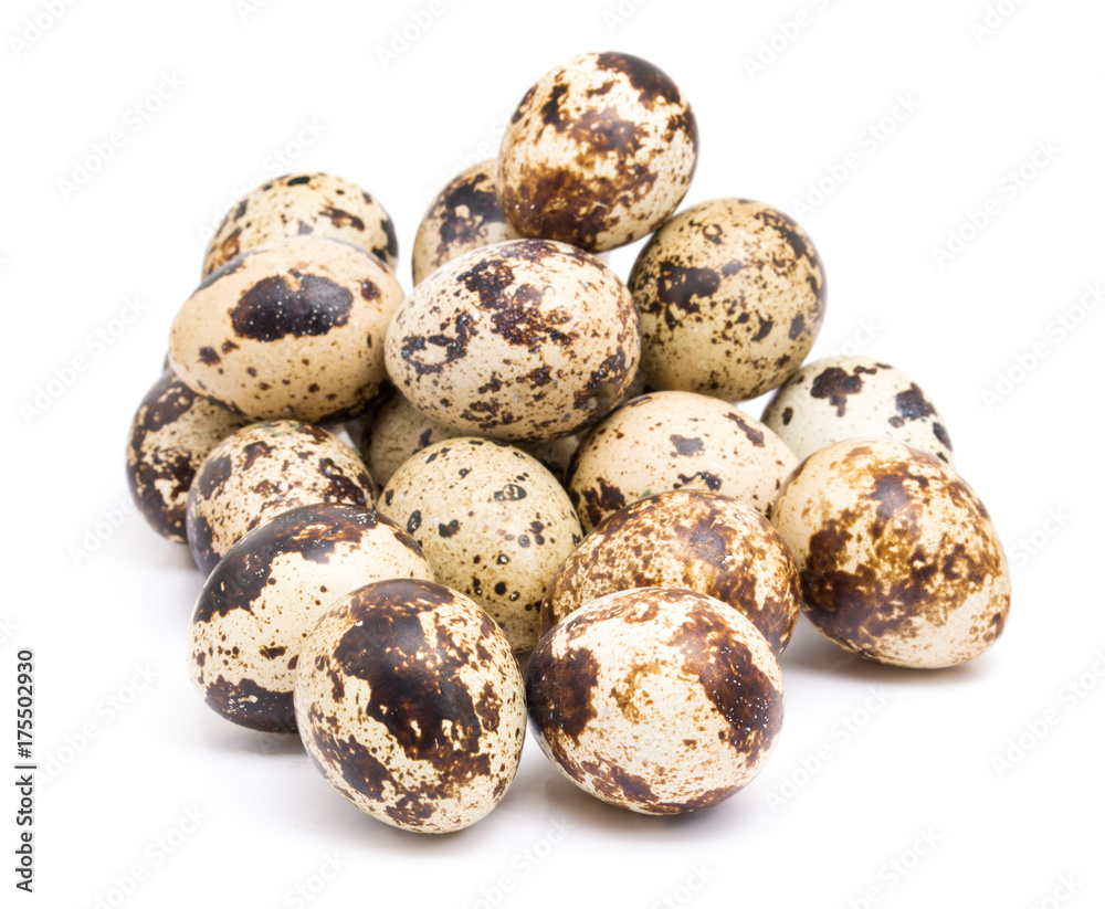 Group of quail egg close up isolated on a white background Group of quail egg close up isolated on a white background