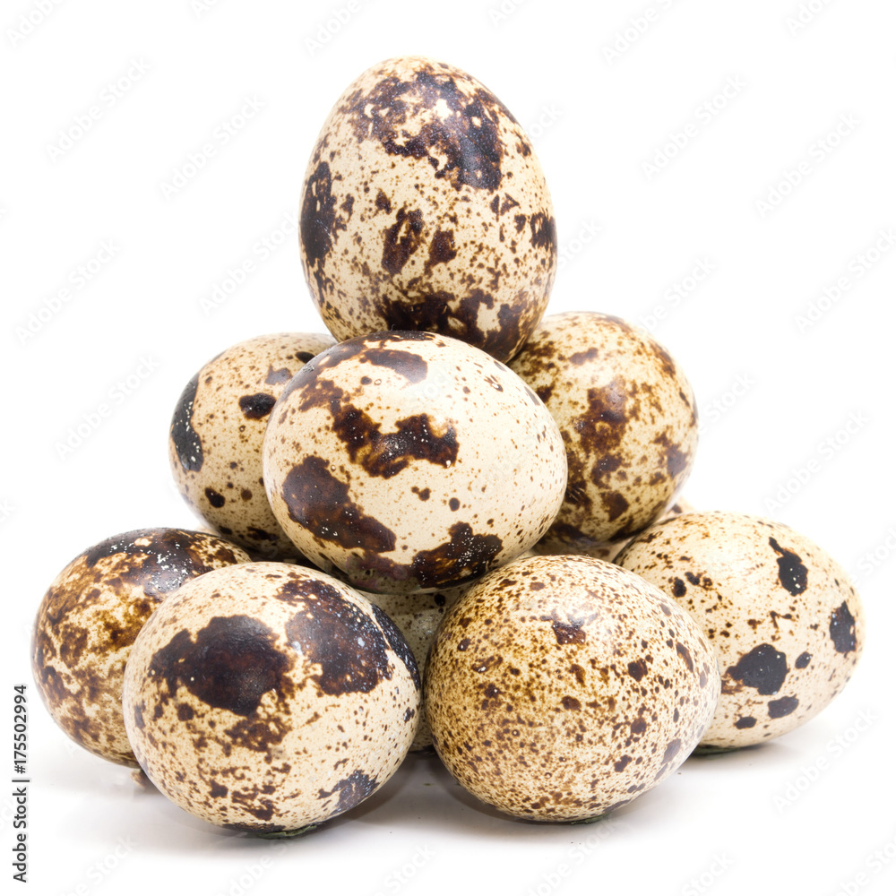 Group of quail egg close up isolated on a white background Group of quail egg close up isolated on a white background