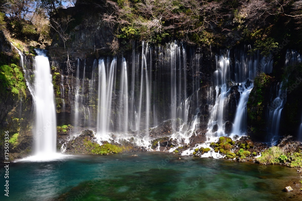 Obraz premium 白糸の滝