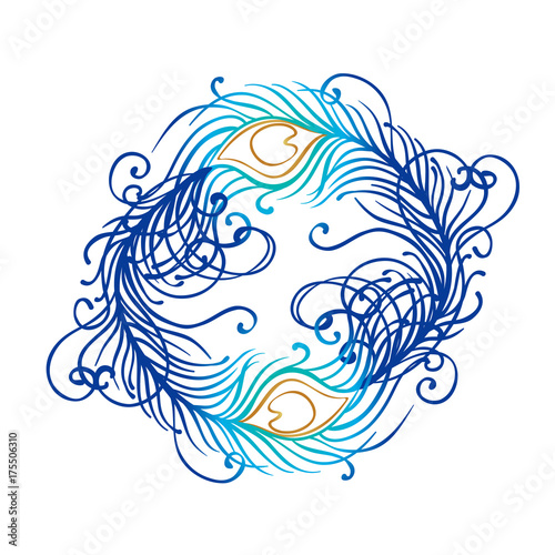 Vector illustration of beautiful peacock feather set isolated on a white back...