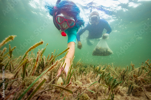 Father and daughter hunting scallops together photo