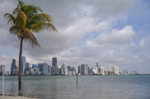 Miami  © pilz©pixman
