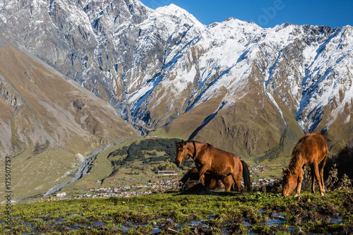 Georgia mountain Svaneti and Kazbegi