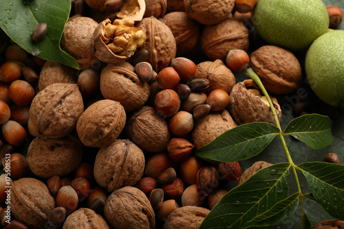 Harvest of organic nuts, walnut, hazelnut