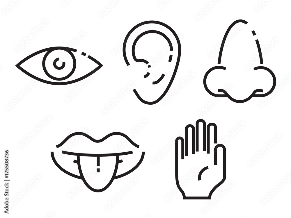 Icon set of the five human senses. Simple, minimal line icons vector illustration. Icon set of the five human senses. Simple, minimal line icons vector illustration.